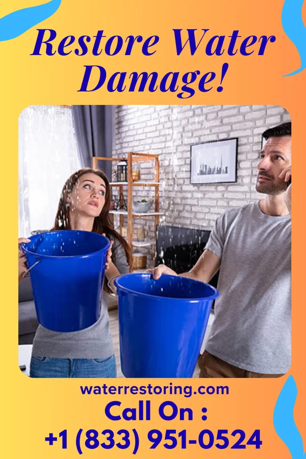 water restoration Hawk Flood Cleanup Professionals Middleburg