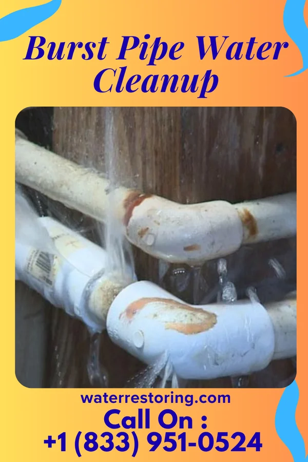 Burst Pipe Water Cleanup in Middleburg, VA