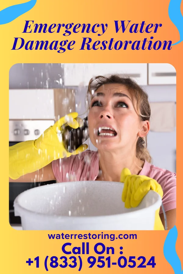 Emergency Water Damage Restoration in Middleburg, VA
