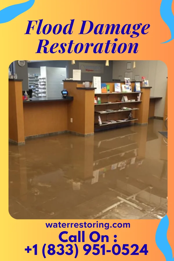 Flood Damage Restoration in Middleburg, VA