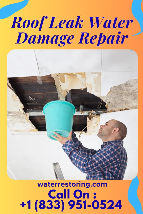 Roof Leak Water Damage Repair in Middleburg, VA