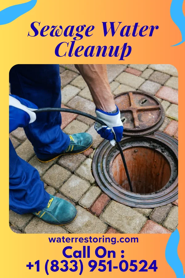 Sewage Water Cleanup in Middleburg, VA